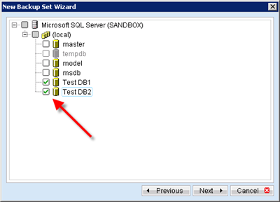 selecting databases for backup