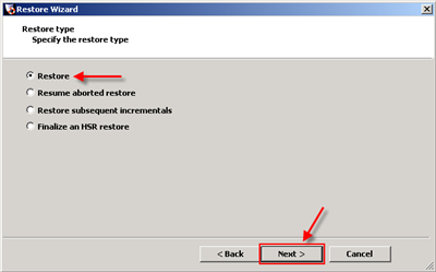 Click restore type and then click Next